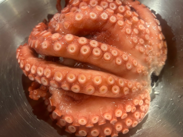 タコ