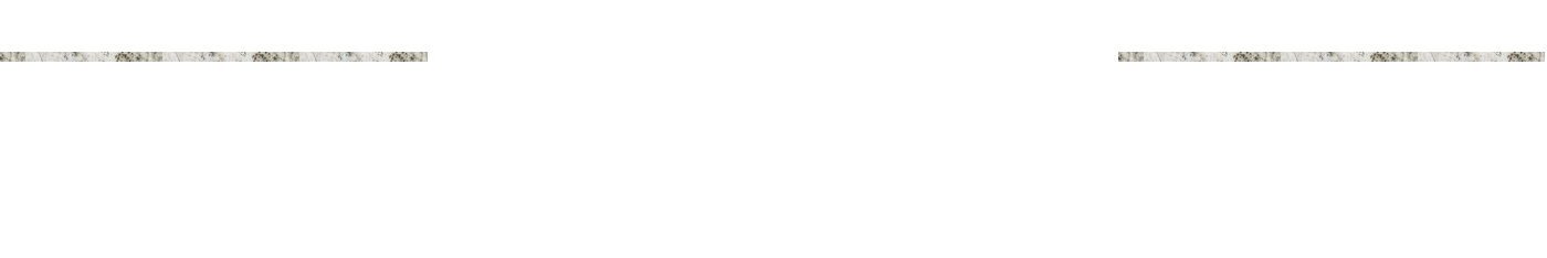 全て手作りの一品料理